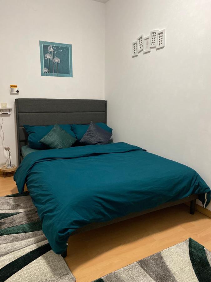 Katalin Kovacs Apartment Frechen Bagian luar foto